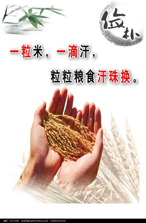 健康科学大学ComputerScienceDegreeCertificate